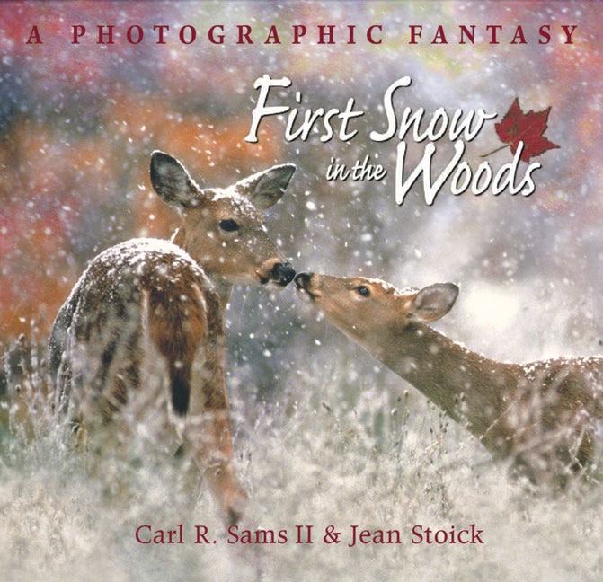 Front cover_First Snow in the Woods