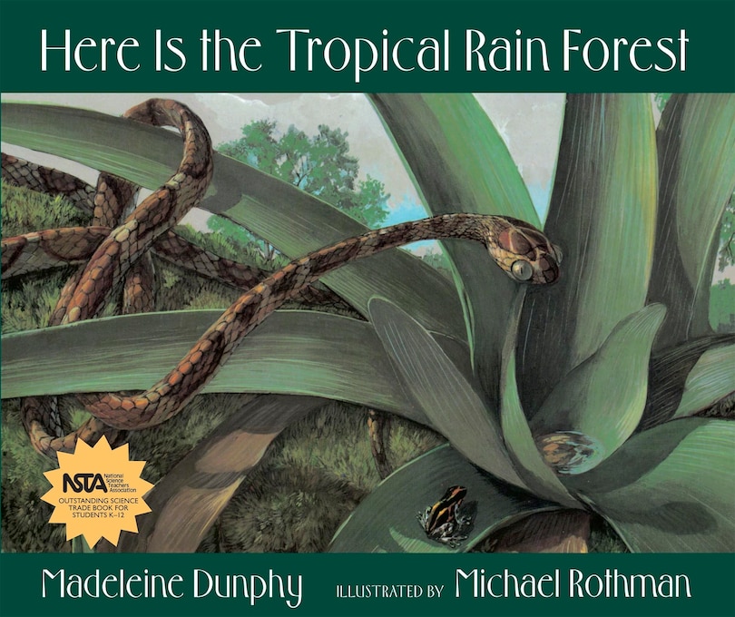 Couverture_Here Is the Tropical Rain Forest