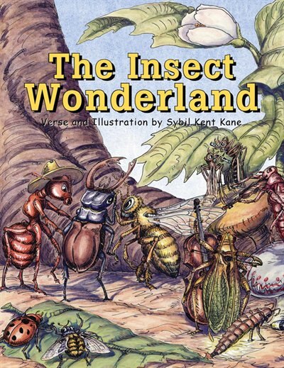 Couverture_The Insect Wonderland
