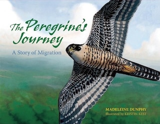Front cover_The Peregrine's Journey