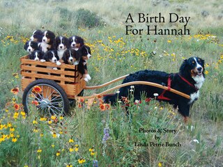Couverture_A Birth Day for Hannah