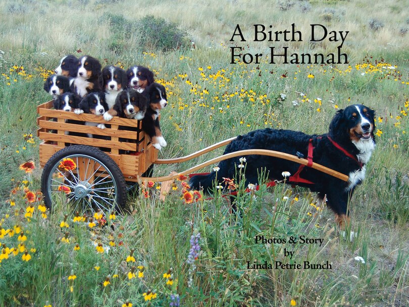 Couverture_A Birth Day for Hannah