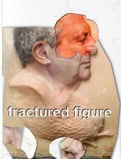 Front cover_Fractured Figure, Volume I