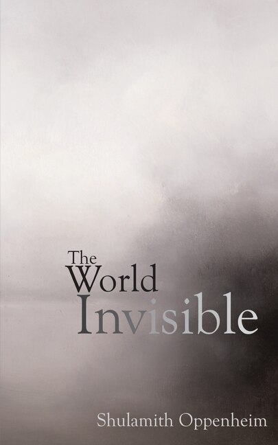 Couverture_The World Invisible