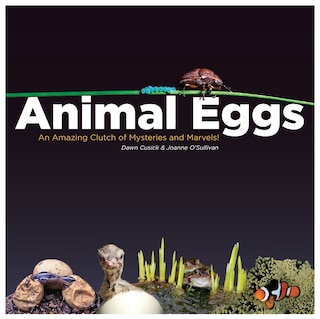 Front cover_Animal Eggs