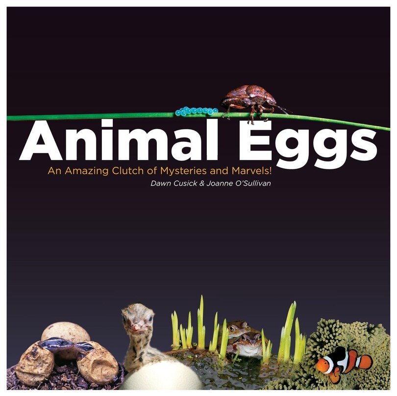 Front cover_Animal Eggs