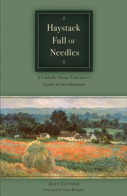 Couverture_Haystack Full of Needles