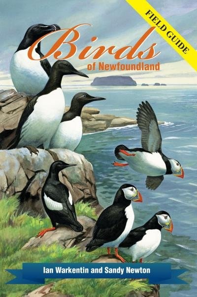 Front cover_Birds of Newfoundland
