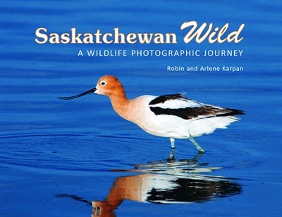 Saskatchewan Wild: A Wildlife Photographic Journey