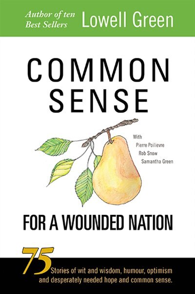 Common Sense For A Wounded Nation