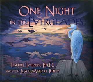 Couverture_One Night in the Everglades