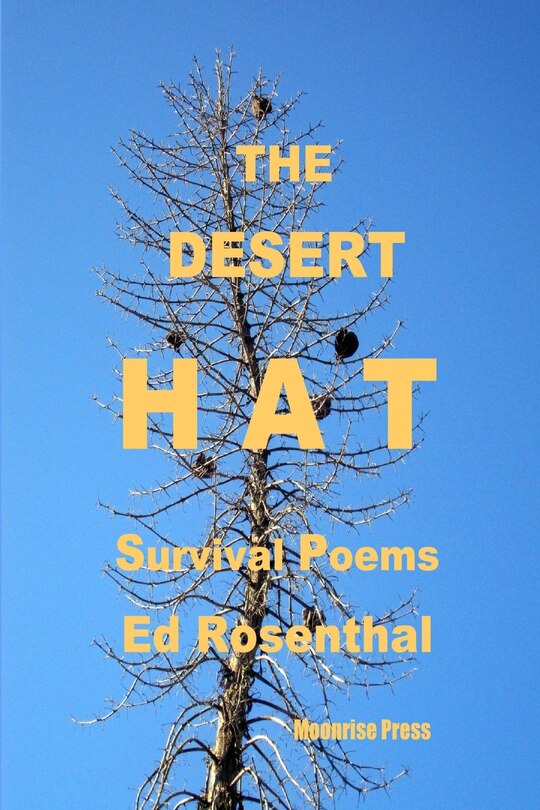 Front cover_The Desert Hat