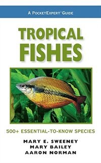 PocketExpert Guide: Tropical Fishes