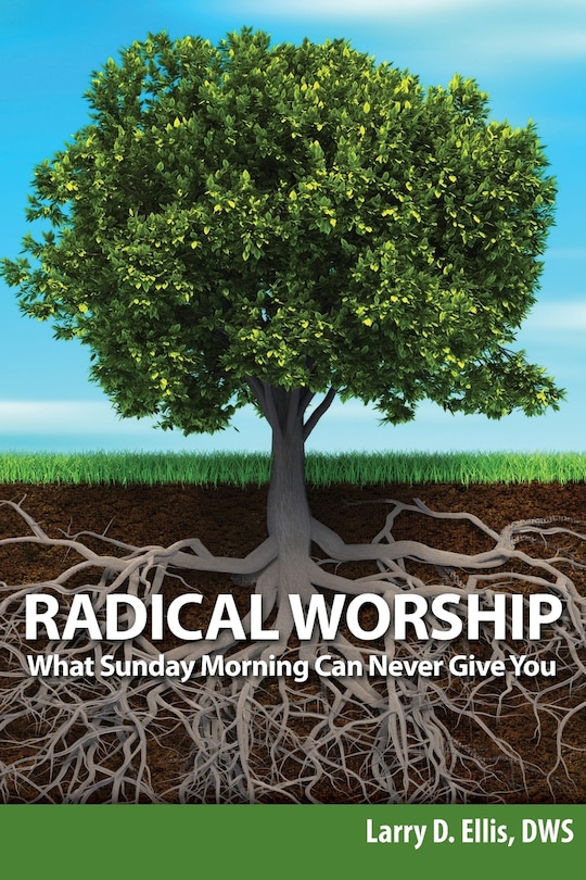 Couverture_Radical Worship