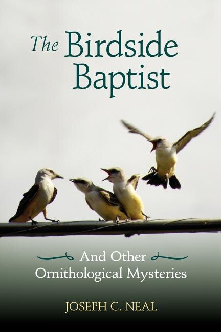 Couverture_The Birdside Baptist