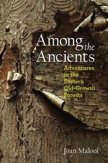 Couverture_Among The Ancients