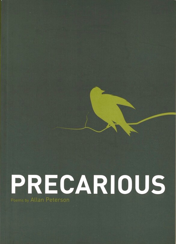 Front cover_Precarious