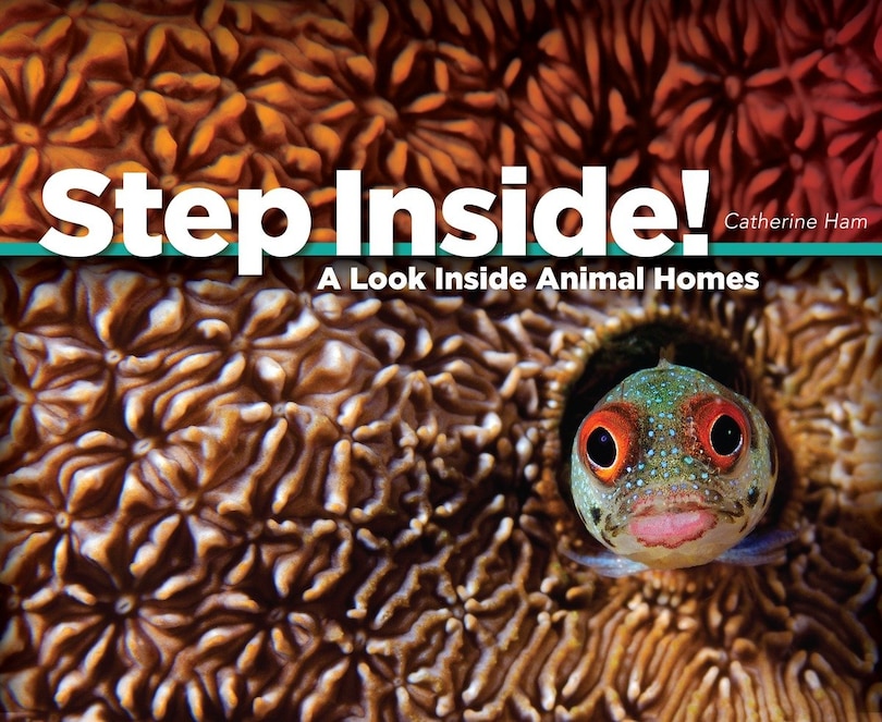 Couverture_Step Inside!