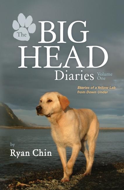 Couverture_The Big Head Diaries, Volume 1