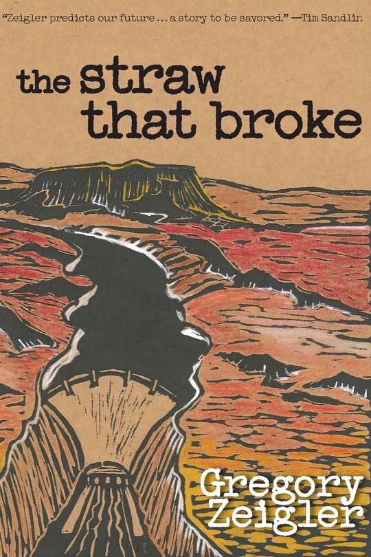 Couverture_The Straw That Broke