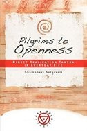 Couverture_Pilgrims To Openness