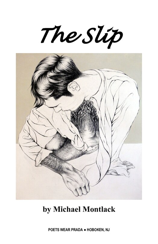 Couverture_The Slip