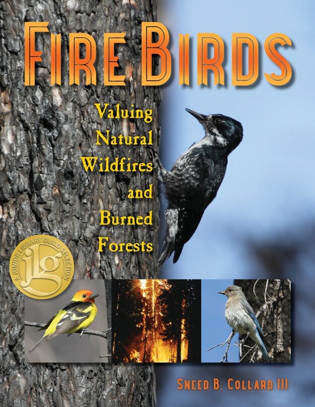 Couverture_Fire Birds