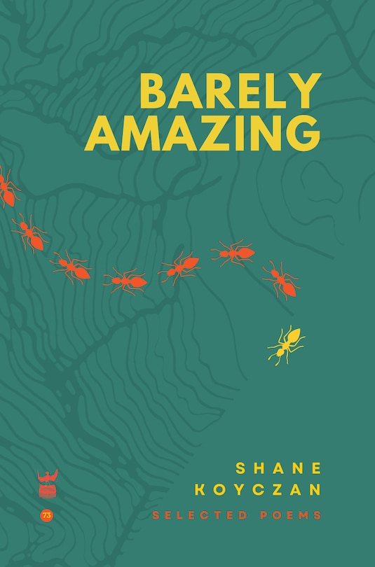 Front cover_Barely Amazing