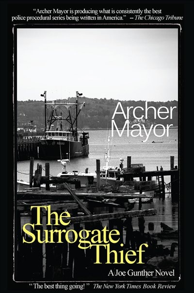 Front cover_The Surrogate Thief