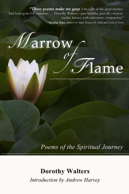 Couverture_Marrow Of Flame