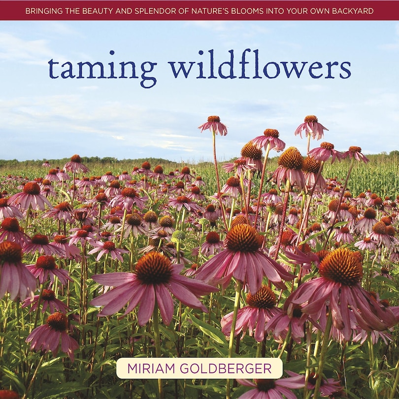 Front cover_Taming Wildflowers