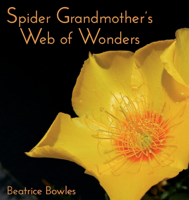 Couverture_Spider Grandmother's Web Of Wonders
