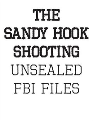 Front cover_The Sandy Hook Shooting