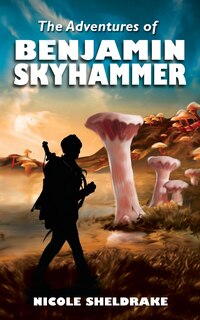 Couverture_The Adventures of Benjamin Skyhammer