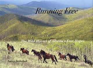 Running Free: The Wild Horses of Alberta's East Slopes