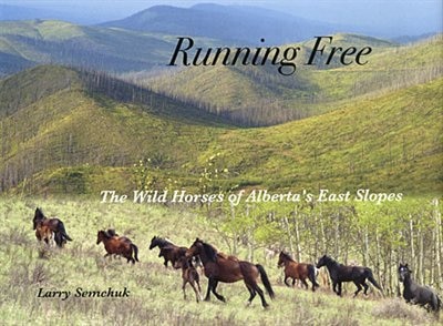 Running Free: The Wild Horses of Alberta's East Slopes