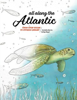 Couverture_All Along the Atlantic