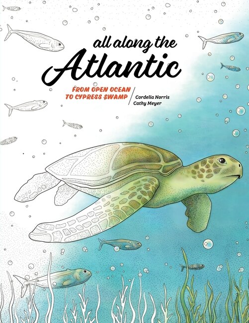 Couverture_All Along the Atlantic