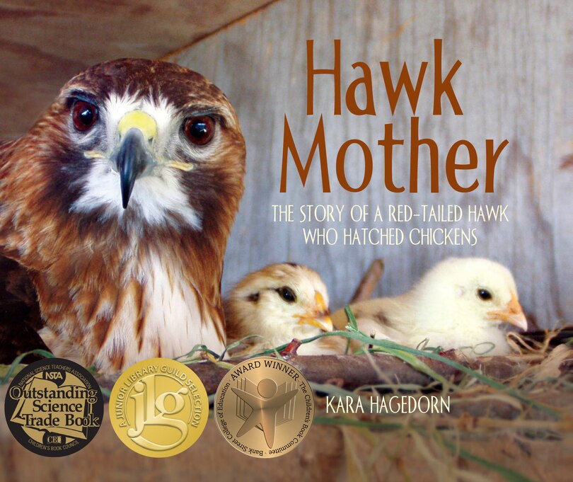 Front cover_Hawk Mother