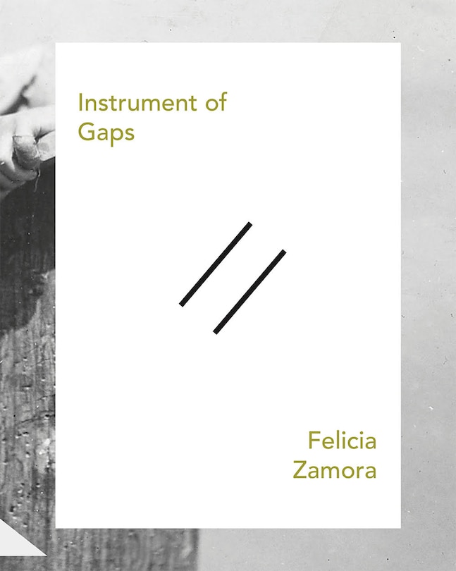 Front cover_Instrument of Gaps