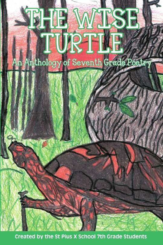 Couverture_The Wise Turtle