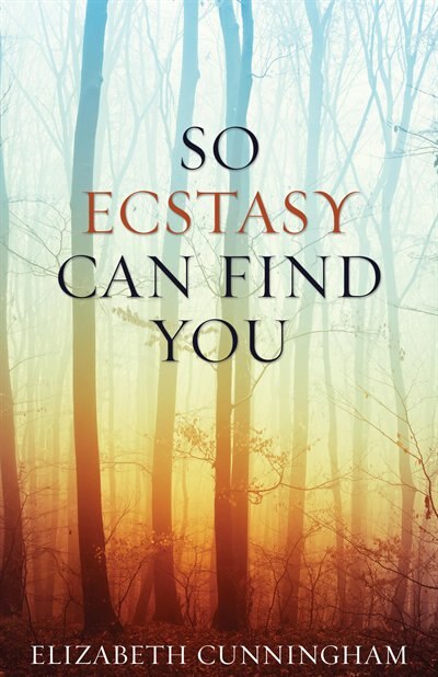 Couverture_So Ecstasy Can Find You