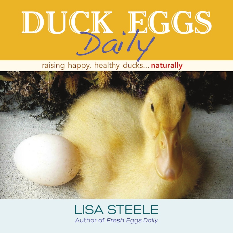 Front cover_Duck Eggs Daily