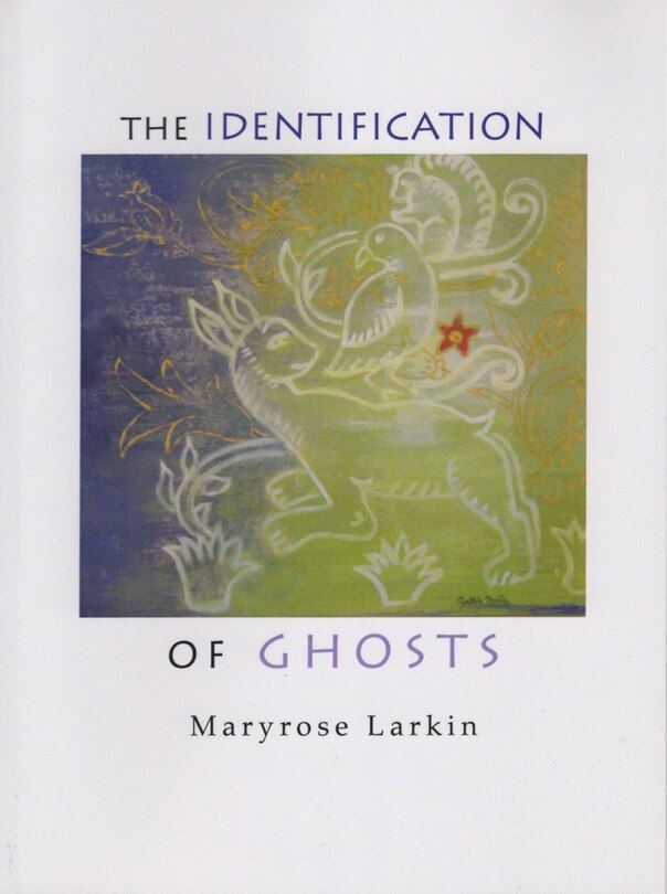 Front cover_The Identification of Ghosts