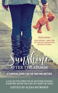 Front cover_Sunshine After the Storm