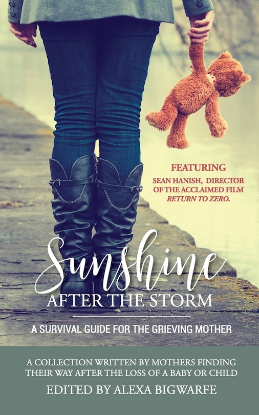 Front cover_Sunshine After the Storm
