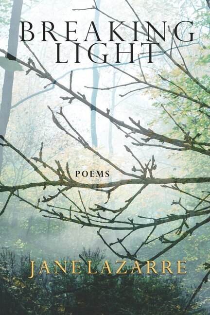 Front cover_Breaking Light