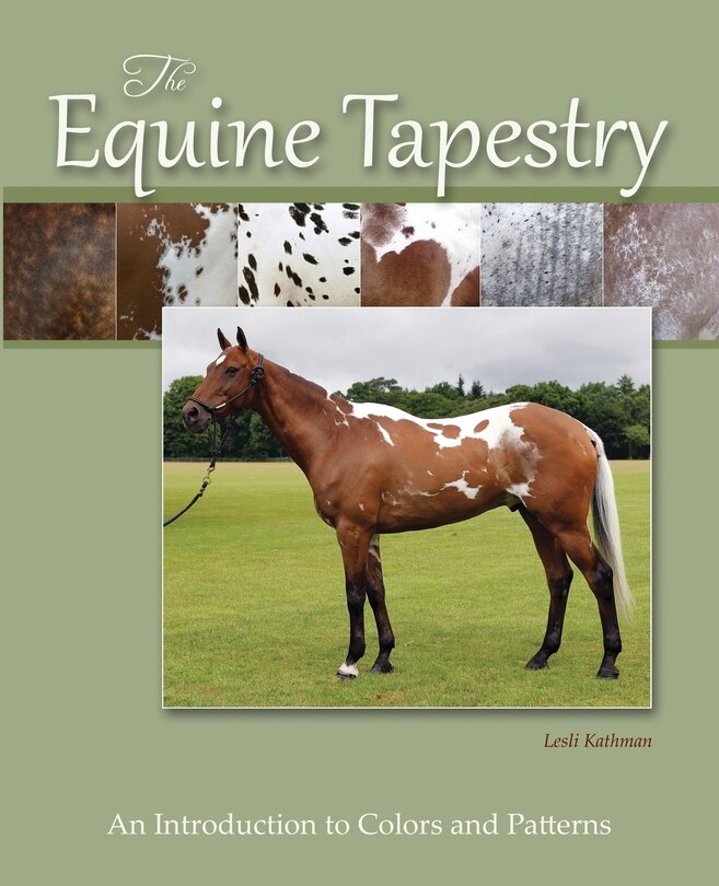 Front cover_The Equine Tapestry