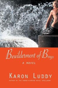 Bewilderment of Boys