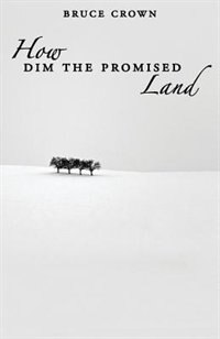 Front cover_How Dim the Promised Land